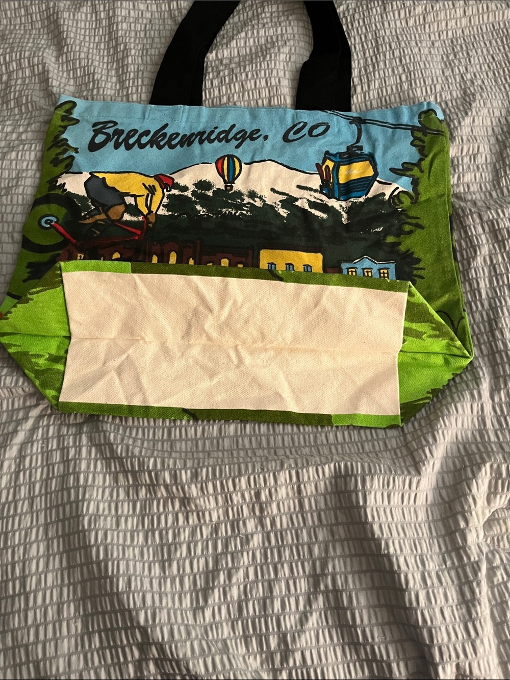Breckenridge Colorado Scenic Canvas Tote Bag Mountain Resort Souvenir - Picture 2 of 14